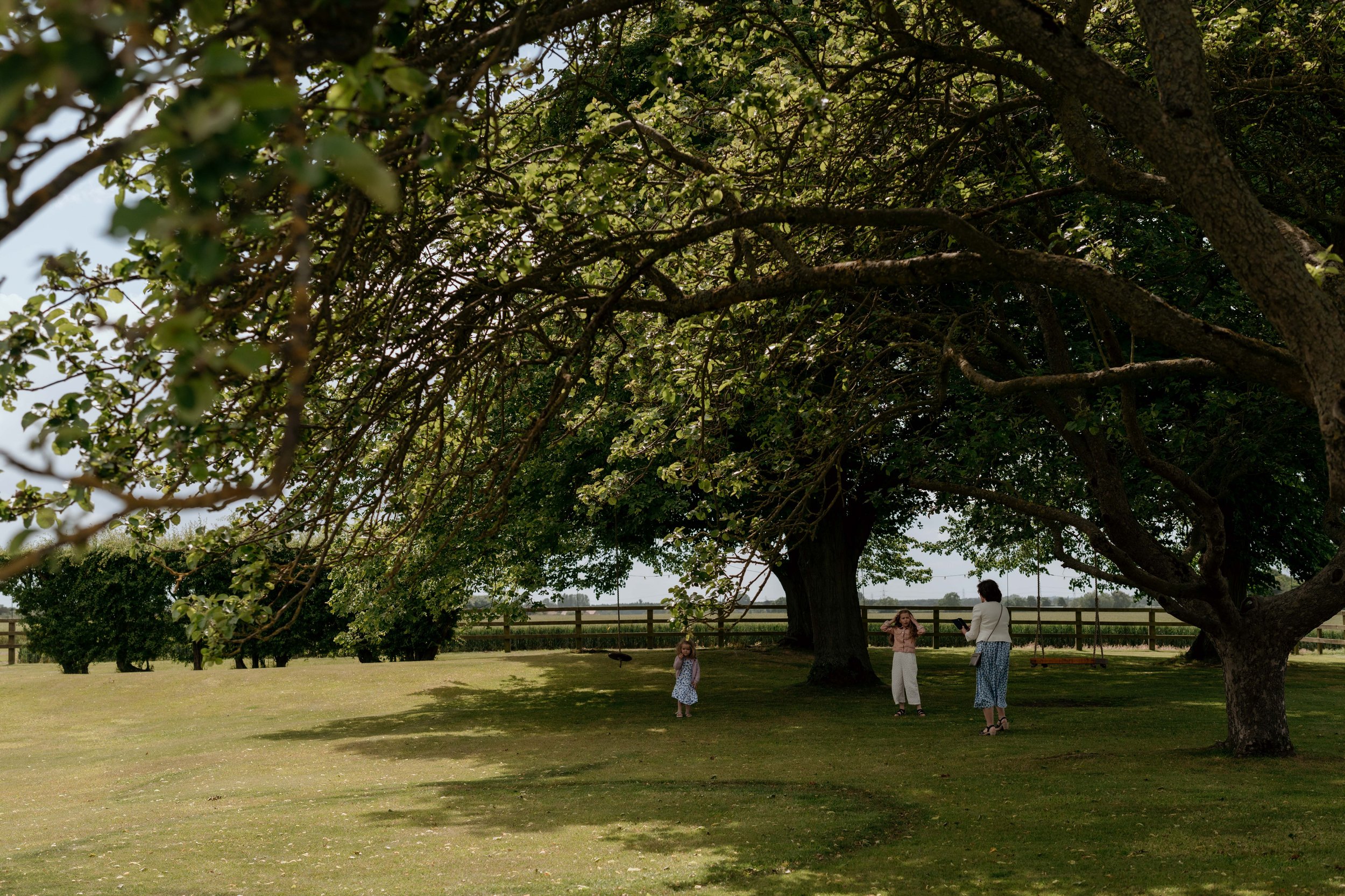The lawn and paddock fencing under a large tree